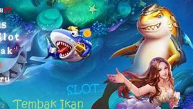 Slot Terbaru Ikan Betok 2024 Terbaru Hari Ini